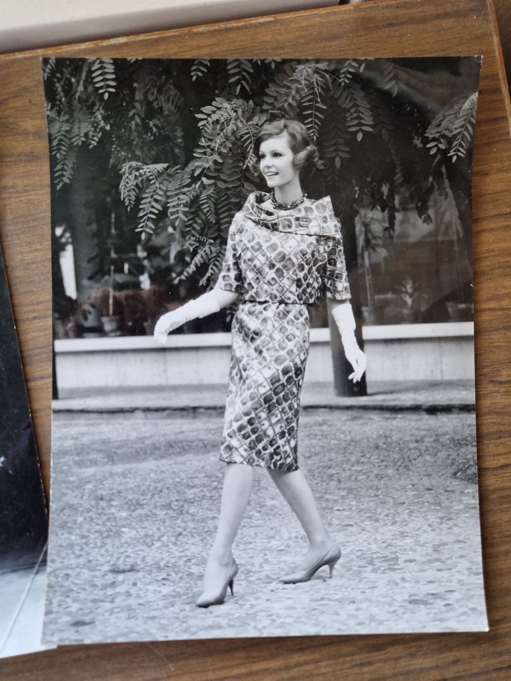 Foto & Immagini: Fotografien 1950er Models – Usato da Mörschwil venduto da lindaswunderkiste 1