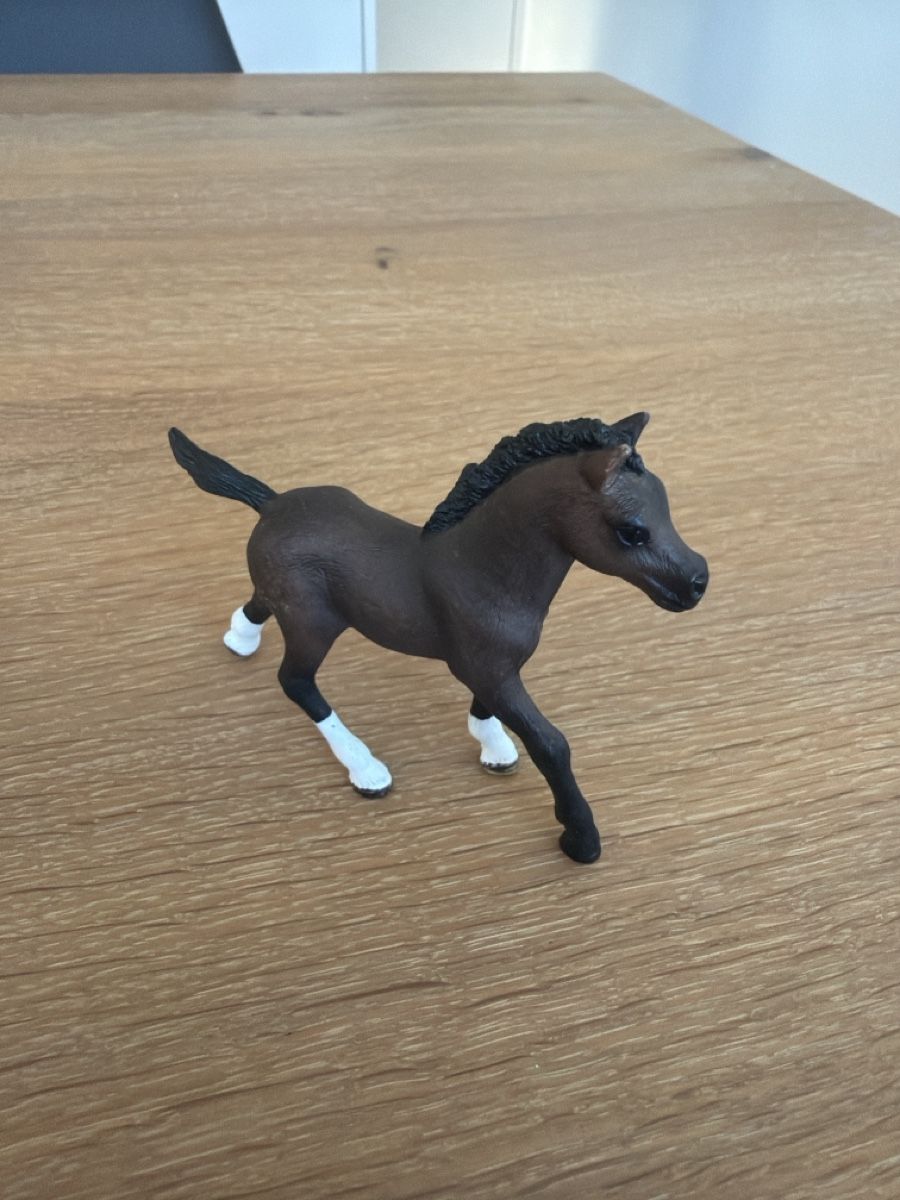 Schleich Giocattoli: Schleich Fohlen braun  – Usato da Uznach venduto da Player6 1