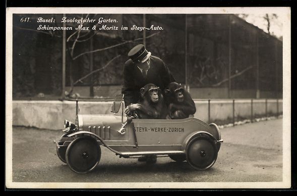 Cartoline postali: Basel, Zoologischer Garten, Schimpansen  – Usato da Berlin venduto da bartko-reher