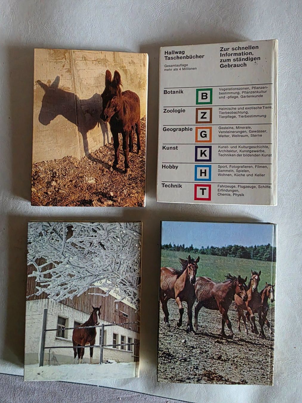 Libri: 4 Vintage Pferde Bücher 1979 etc. – Usato da Walterswil BE venduto da Lonitti 1