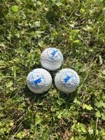 Sammler Golfbälle  Lucerne Golf Club 