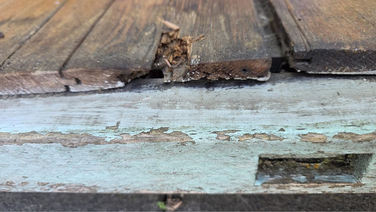 Casette da giardino & serre: Gartenschopf / Geräteschuppen auf Terrasse – Usato da Volketswil venduto da cinicini 9