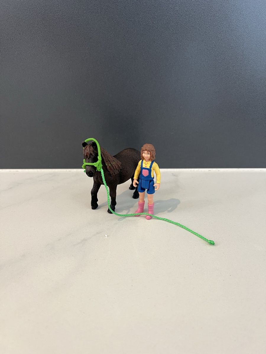 Schleich Jouets: Schleich Trainingsplatz – D'occasion à Dietwil par sarn 2