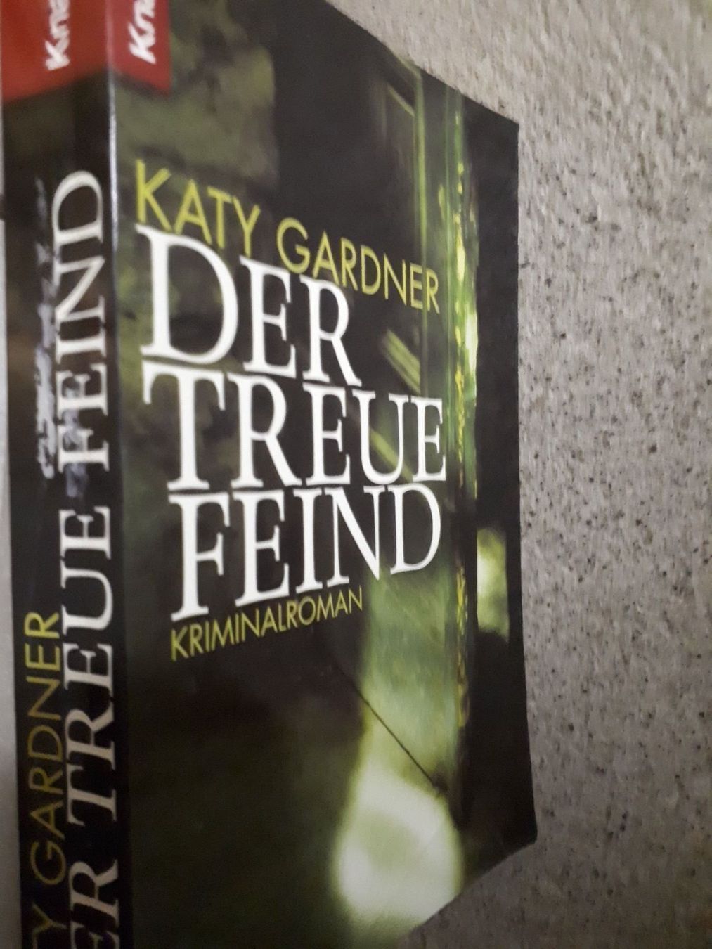 Libri: Katy Gardner Der treue Feind – Usato da Basel venduto da Alacant 2