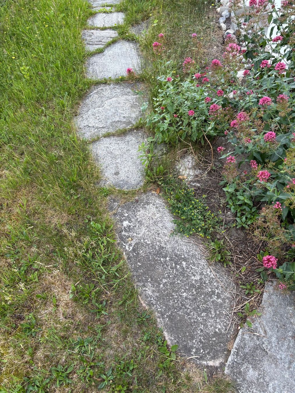 Bodenbeläge: Granitplatten – Gebraucht aus Domat/Ems von Sumcurtgins 3