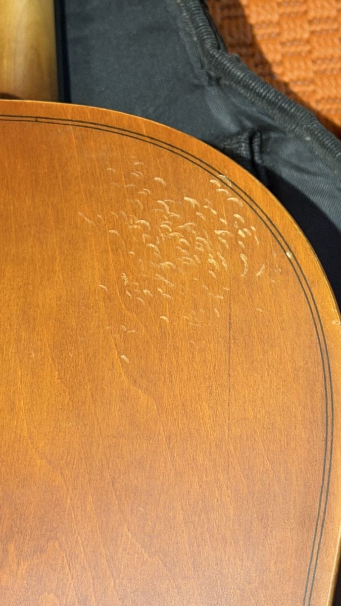 Strumenti musicali: Violoncello Steinbach 1/4 – Usato da Roveredo GR venduto da Obama_Michelle 3