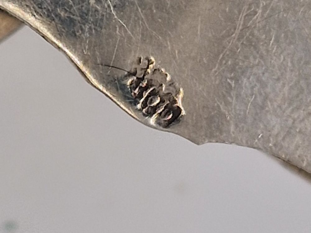 Imposant Bracelet en argent 800Silb pièce unique 7