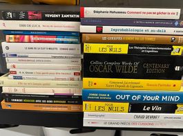 20+ livres divers - développement perso, romans, pratique