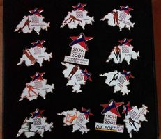 Set mit Pin Olympiakandidatur Sion 2002