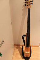 Elektro Bass der Spitzenklasse