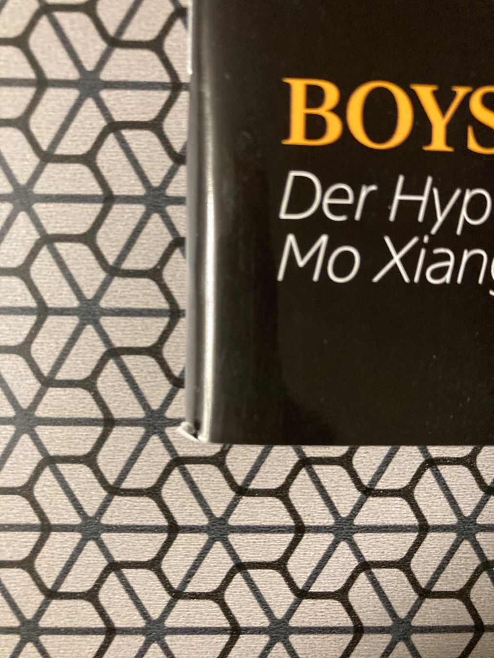 Riviste & Magazine: C-Pop Magazin Dynasty Dylan Wang Vol.2 – Usato da Basel venduto da Gamebeard 3