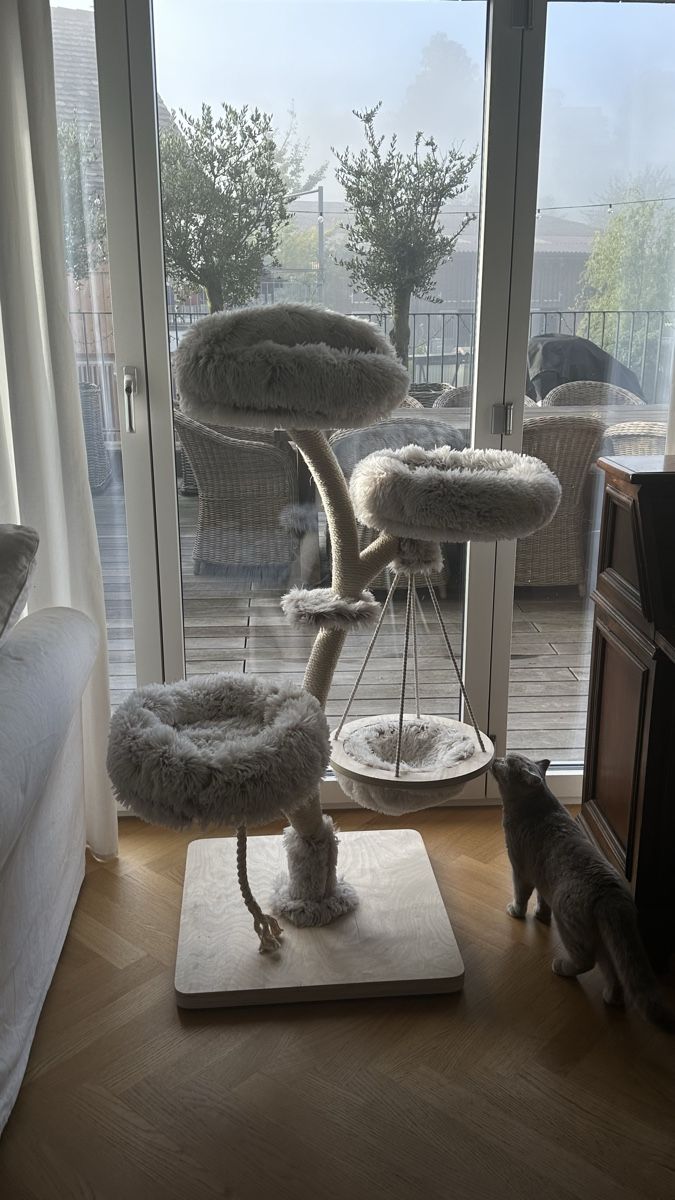Tiragraffi: Kratzbaum Neu Katzenbaum – Nuovo (secondo la descrizione) da Eschlikon TG venduto da HomesweetHome 3
