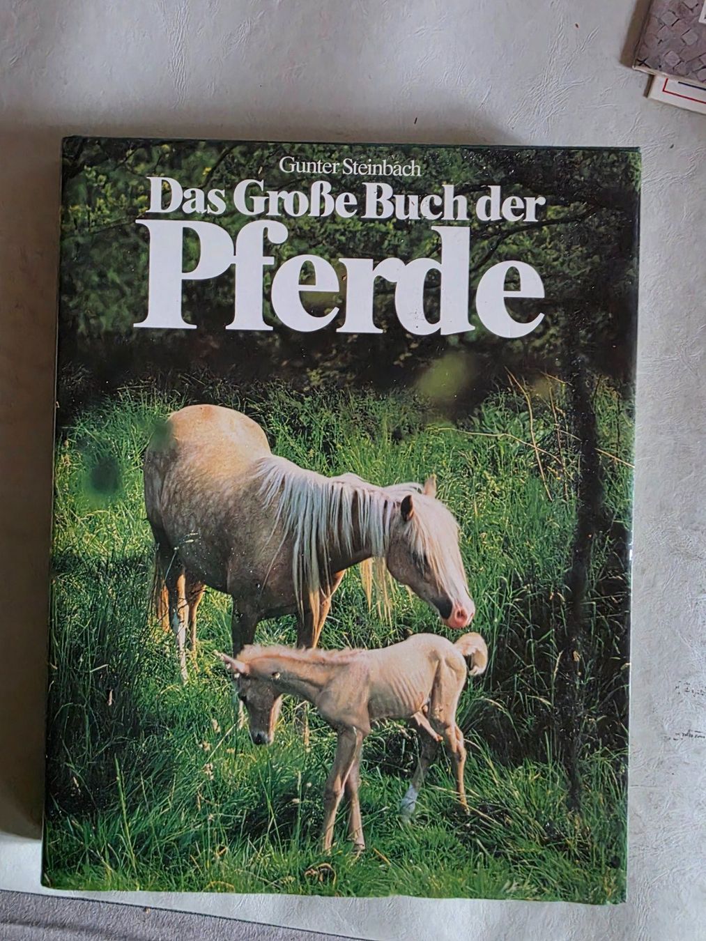 Libri: Das grosse Buch der Pferde - Gunter Steinbach - 1985 – Usato da Walterswil BE venduto da Lonitti