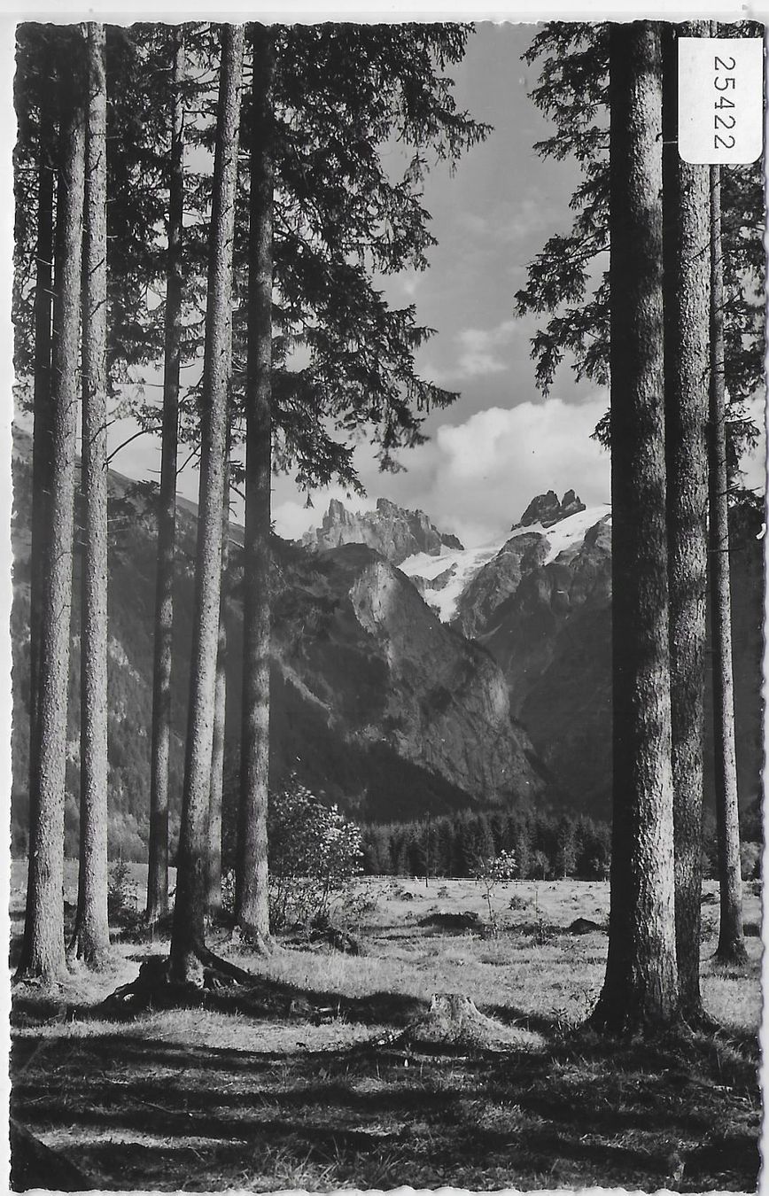 Cartes postales: Waldpartie bei Engelberg – Antique à Ettingen par Kartenplanet