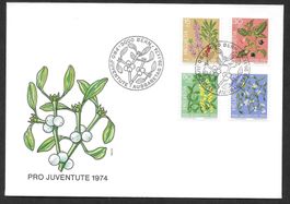FDC Pro Juventute Serie 1974 J248 - J251 ET Bern 29.11.1974