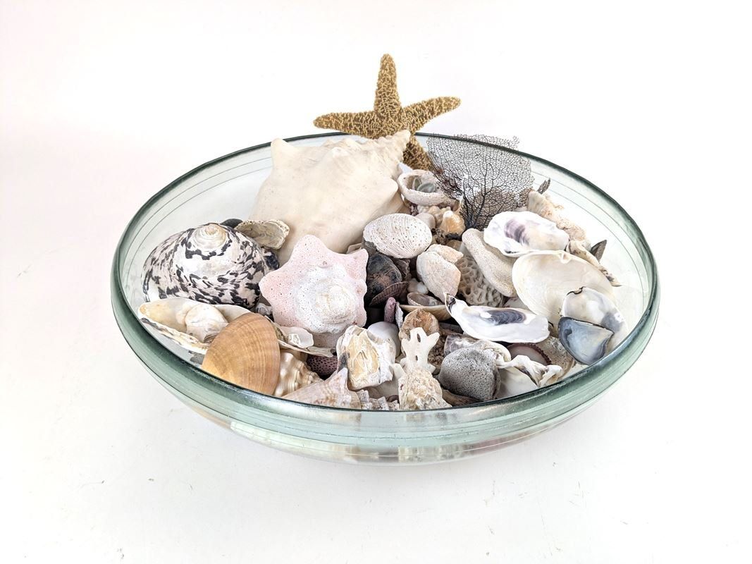 Tutte le decorazioni: Muschelset in Dekoschale – Usato da Thun venduto da Restwert_Thun 2