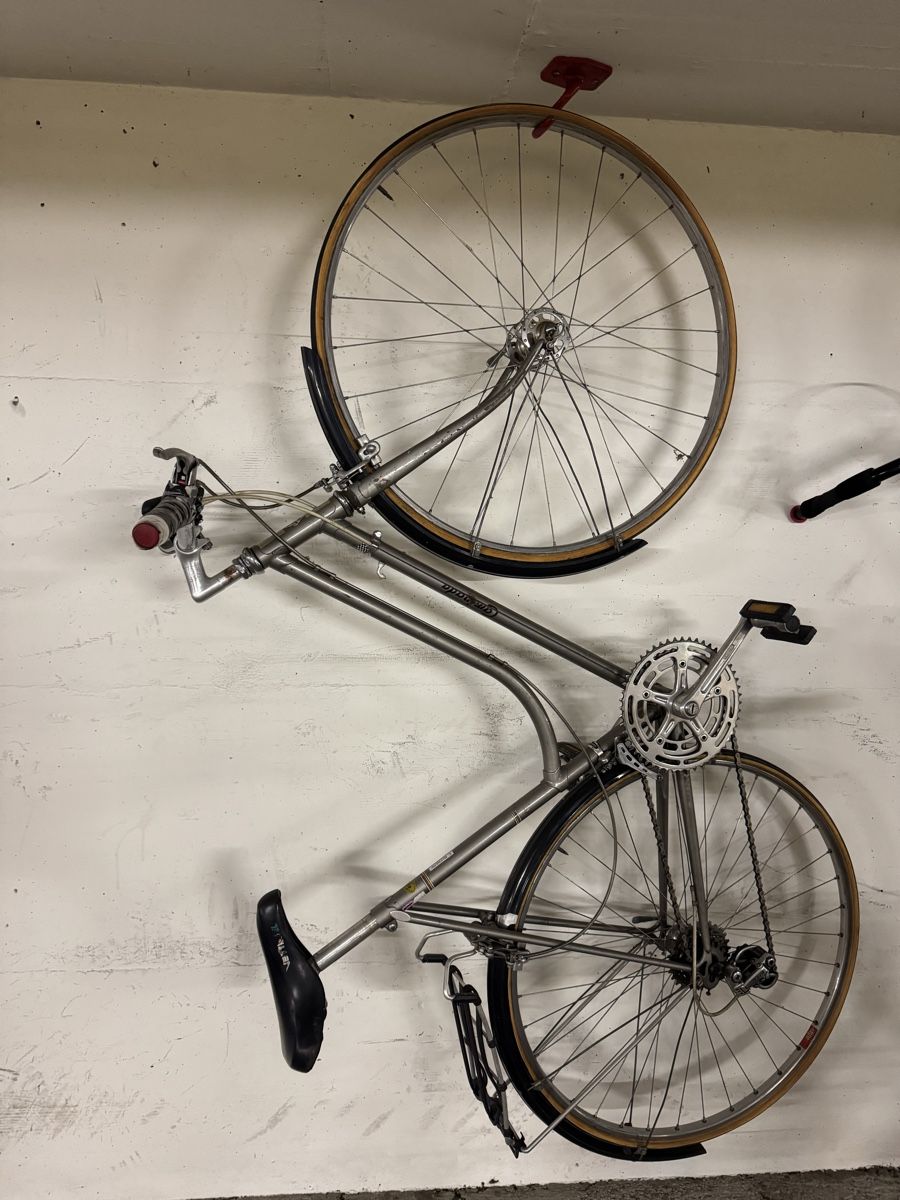 Campagnolo Biciclette: Damen Rennrad/City Velo – Usato da Zürich venduto da Ekaterinek