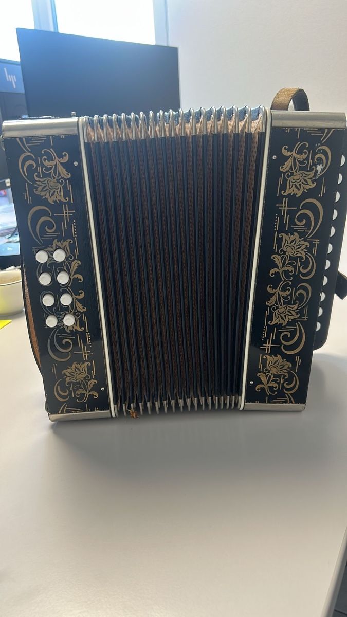 Strumenti musicali: Handorgel Schwyzerörgeli Oldtimer - DDR Produktion! – Usato da Glis venduto da fa_ze97