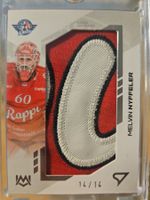 Melvin Nyffeler - SCRJ Lakers - Unique Mark - Logo - 14/14