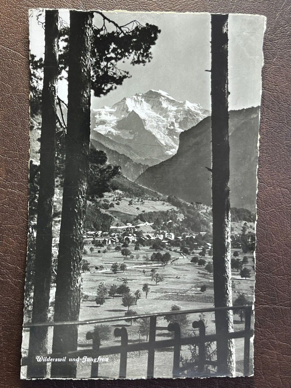 Cartoline postali: Wilderswil, Jungfrau – Usato da Steg VS venduto da _vinci_
