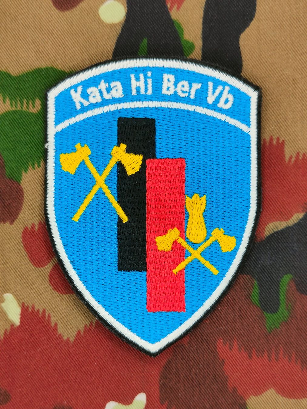 Schweizer Armee Placchette & Badge: Verbandsabzeichen Kata Hi Ber Vb – Usato da Bauma venduto da SwissMilitaria