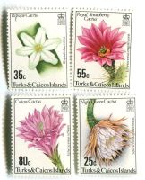 Briefmarken "Kakteen". Turks- und Caicosinseln