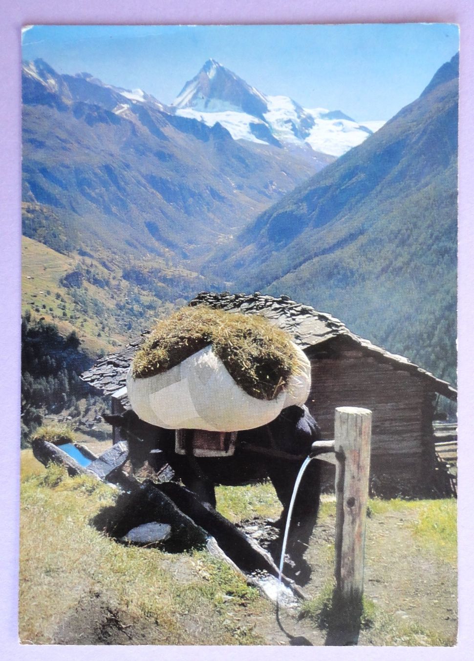 Cartes postales: Fenaison dans le Val d' Hérens – D'occasion à Fétigny par Billy2miny