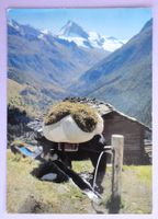 Fenaison dans le Val d' Hérens