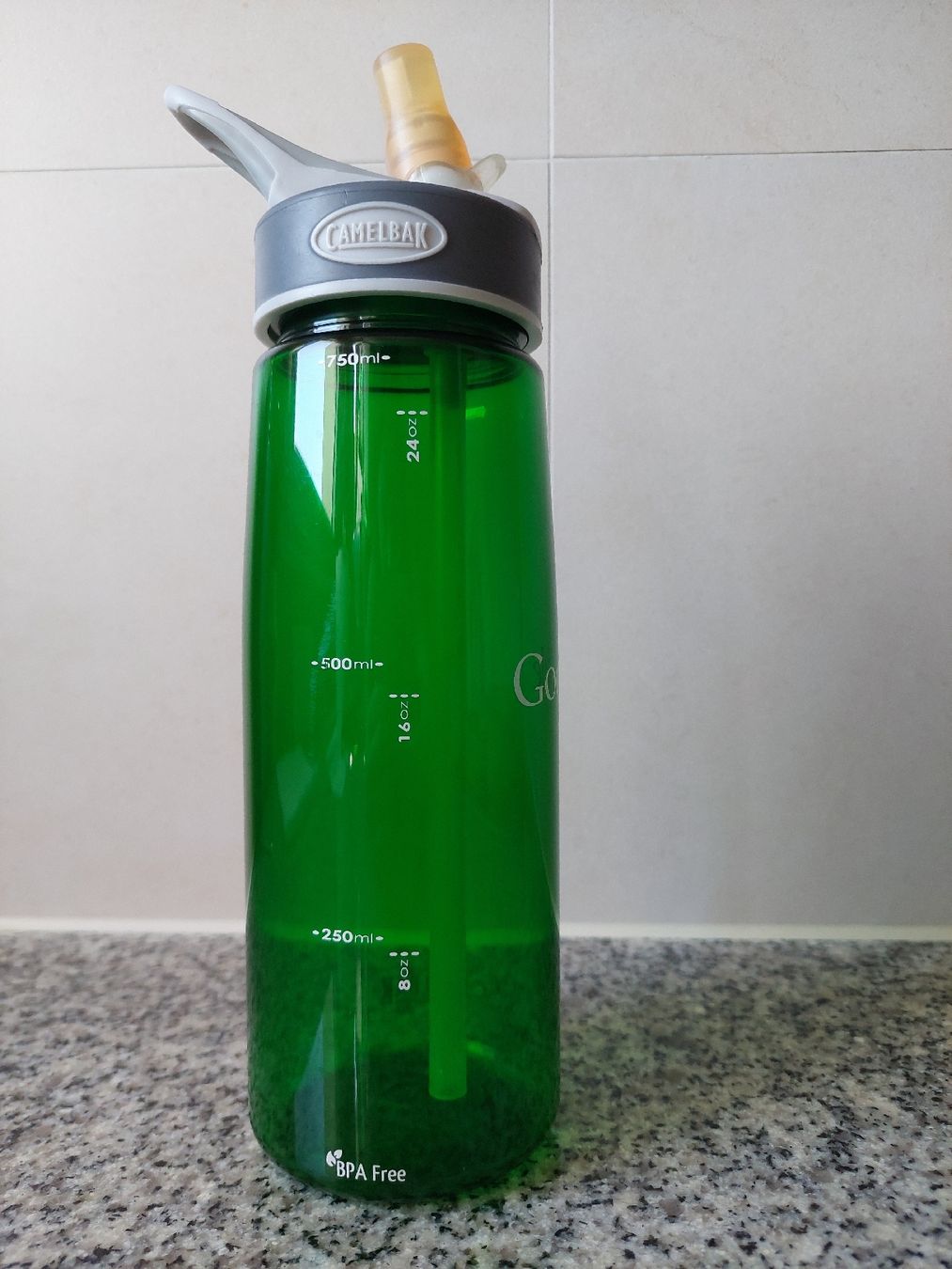 Camelbak Gourdes & Thermos: Gourde Google CamelBak (Goodie / Swag Tech) – Neuf (Voir description) à Yverdon-les-Bains par pri_x6j6 1