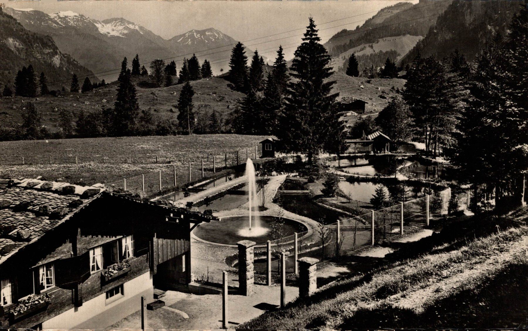 Cartes postales: Fischzucht Blausee, Kandertal – D'occasion à Bronschhofen par Astore