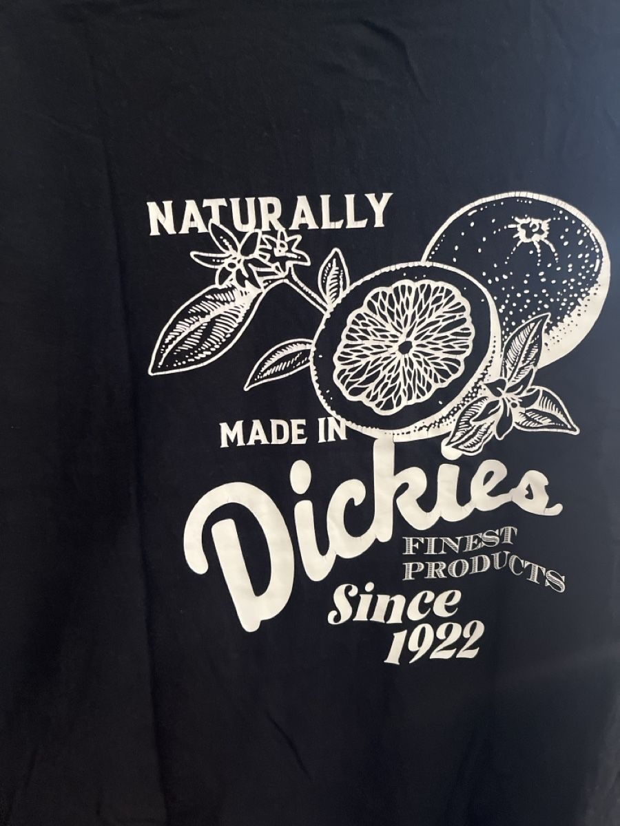 Dickies T-shirt: Herren Shirt Dickies – Usato da Luzern venduto da Reto27 2
