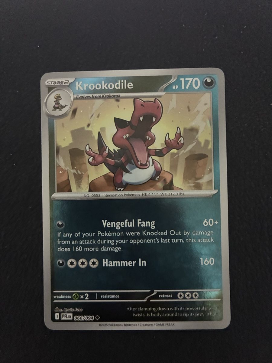 Pokémon Sammelbilder & Trading cards: POKEMON CARDS PHANTASMAL FLAMES REVERSE # 66 – Neu (gemäss Beschreibung) aus Taverne von YOHISTORE