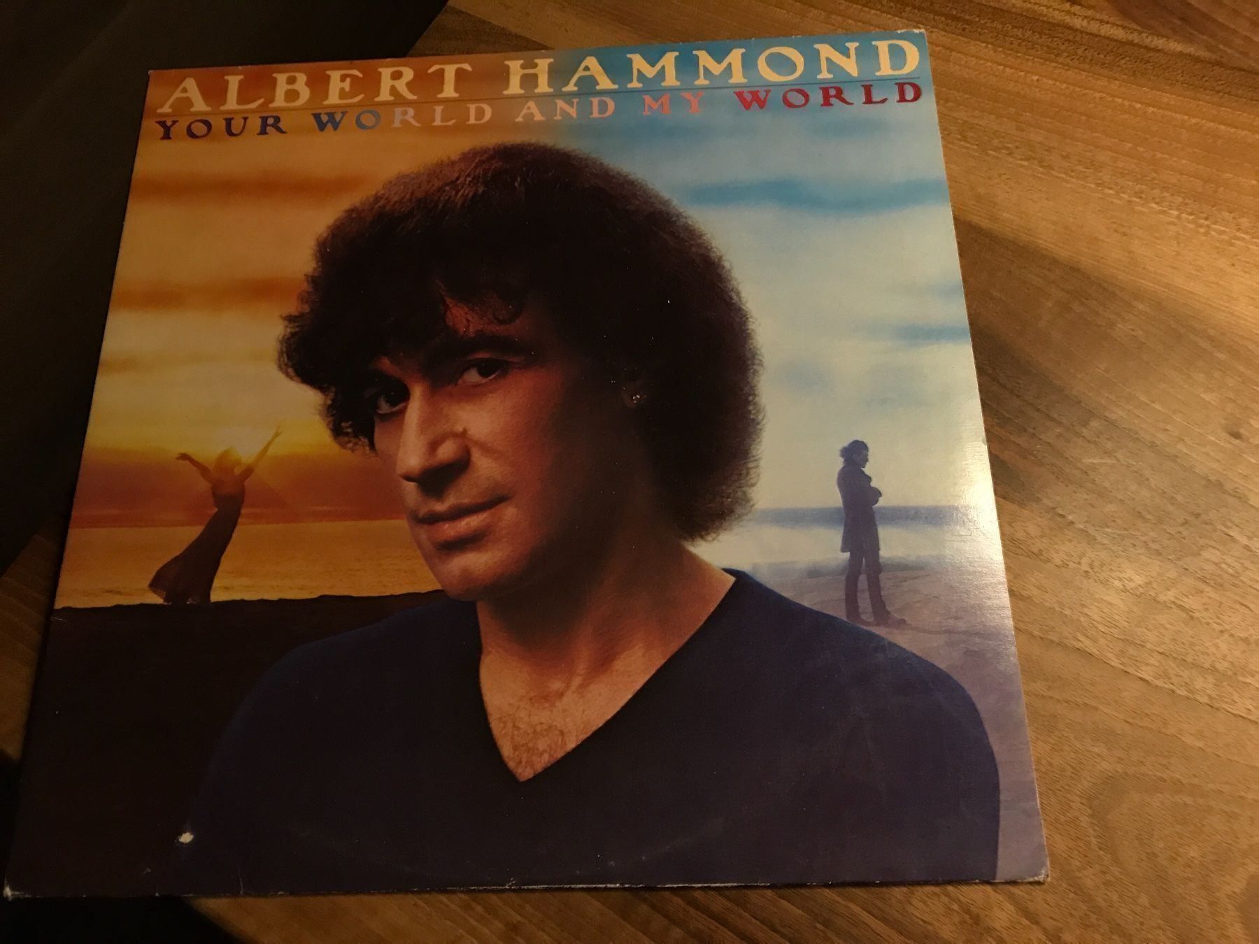 Dischi in vinile: Albert Hammond LP – Usato da Gutenswil venduto da Hamzian