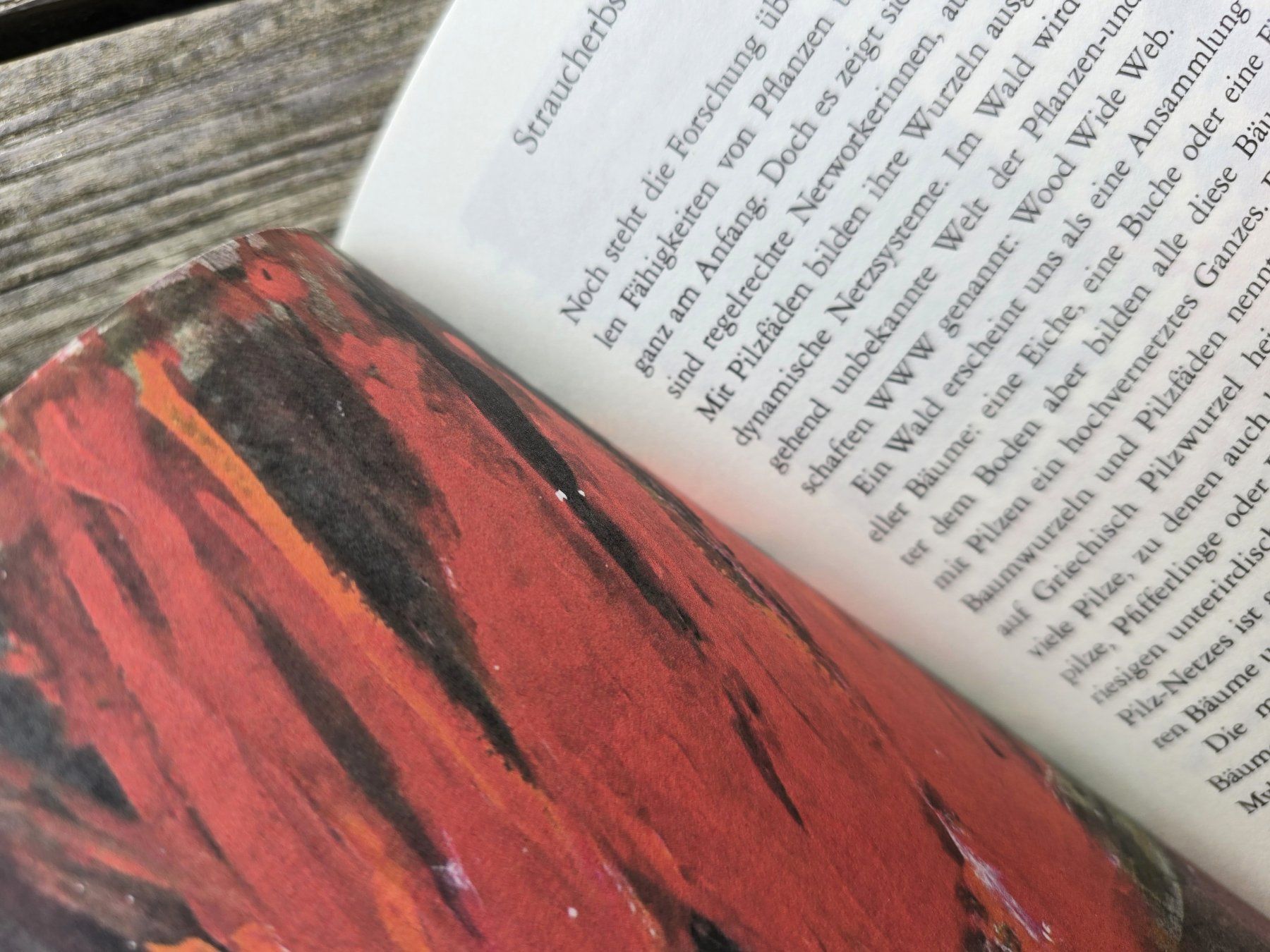 Libri: Buch: Schwatzhafte Tomate, wehrhafter Tabak – Nuovo (secondo la descrizione) da Romanshorn venduto da Rachacha 2