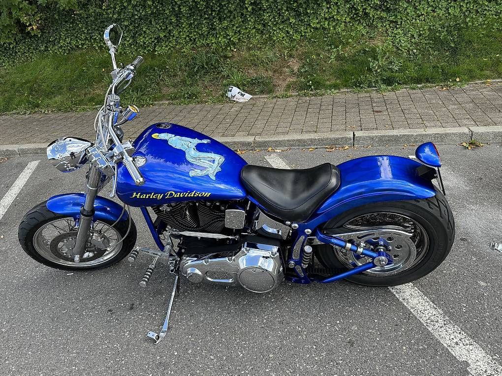 Harley-Davidson Strada: Harley Davidson custom – Usato da Vevey venduto da Chupita-met