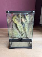 Exo Terra Terrarium in gutem Zustand