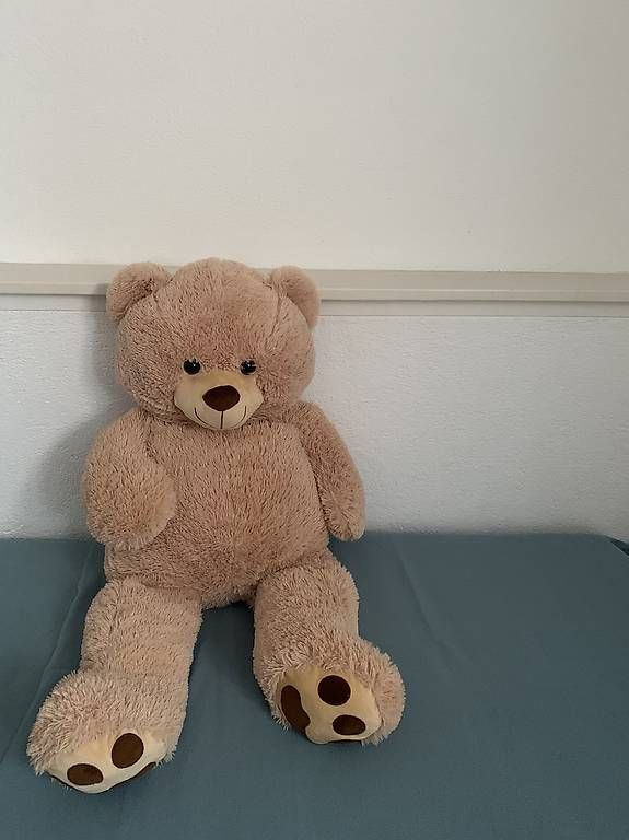 Giocattoli: Kuschelbär – Usato da Brugg AG venduto da ger_8sbj