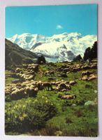 Piz Palü und Bellavista