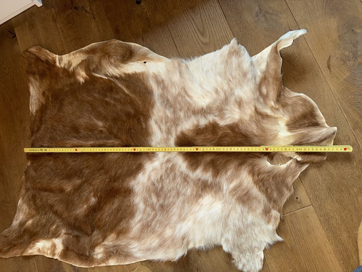 Tutte le decorazioni: Ziegen-Fell – Nuovo (secondo la descrizione) da Grossaffoltern venduto da sherry73 3