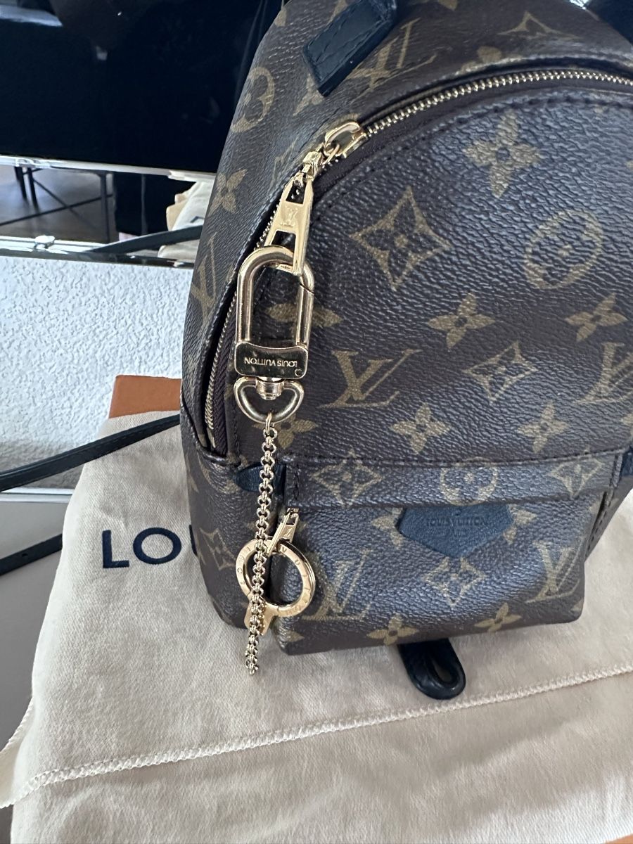 Louis Vuitton Taschen: Louis Vuitton Palm Springs mini – Gebraucht aus Gossau SG von marotta01 8