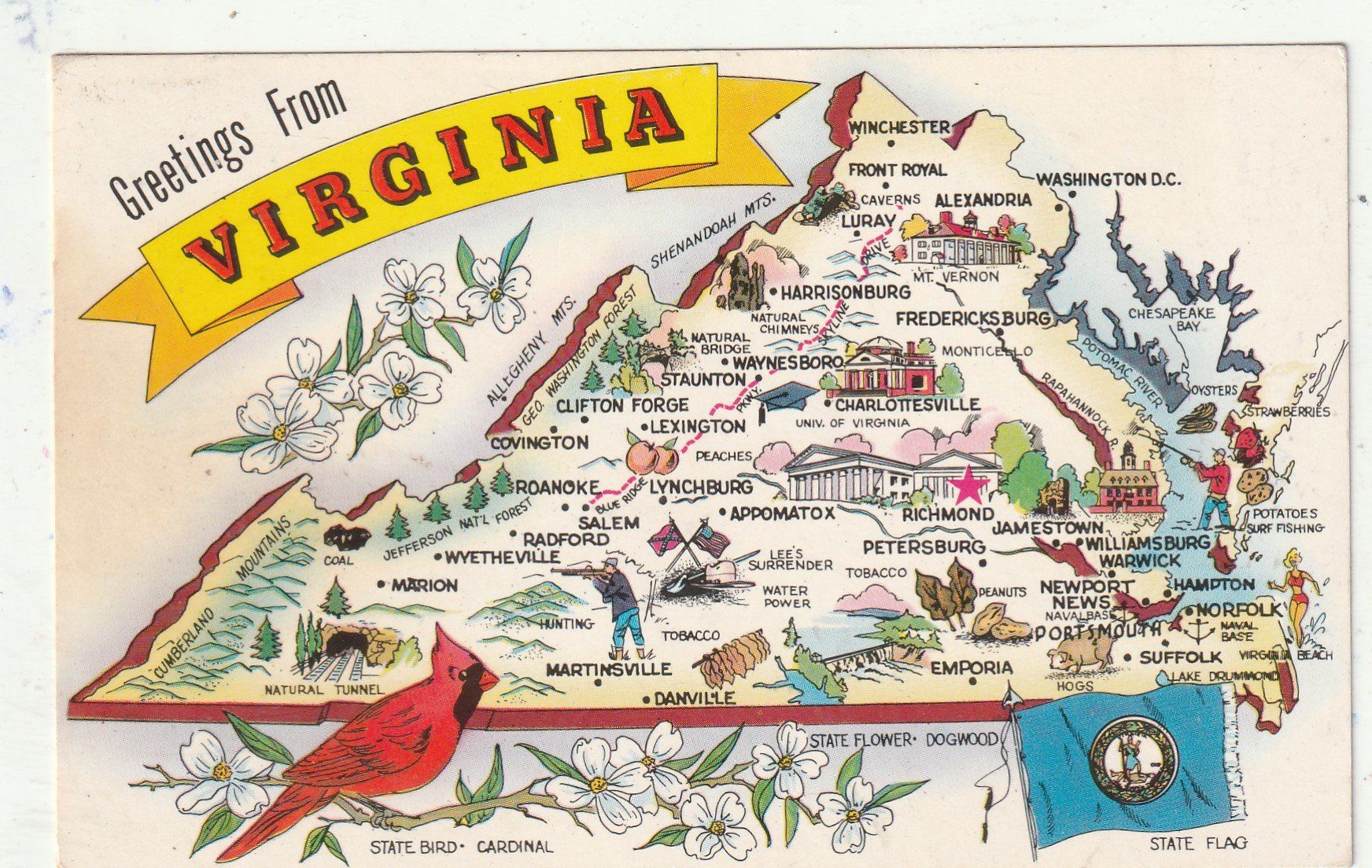 Cartoline postali: Virgina – Usato da Lumbrein venduto da made02