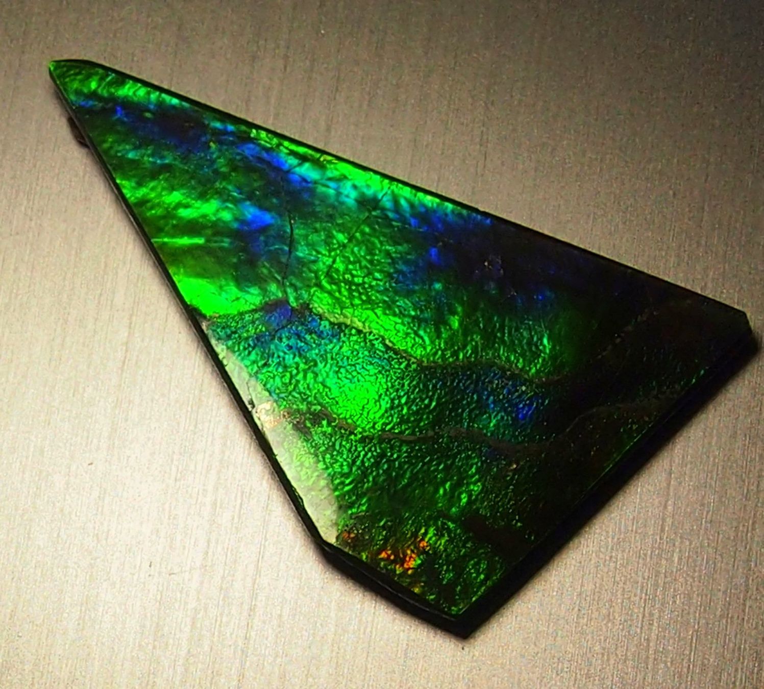 Fossili: 17  Karat Natural funky GEM Ammolite AAA! – Nuovo e nell'imballaggio originale da Reinach BL venduto da Marblue 6