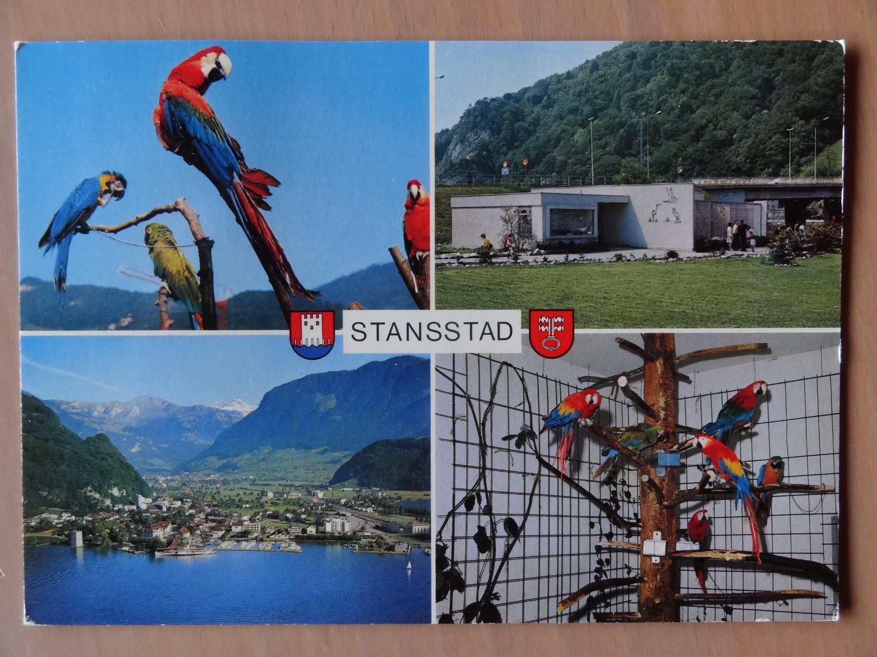 Cartoline postali: Stansstad - NW -  Volière avec des Aras - 1985 – Usato da St Léonard venduto da Riglin