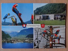 Stansstad - NW -  Volière avec des Aras - 1985
