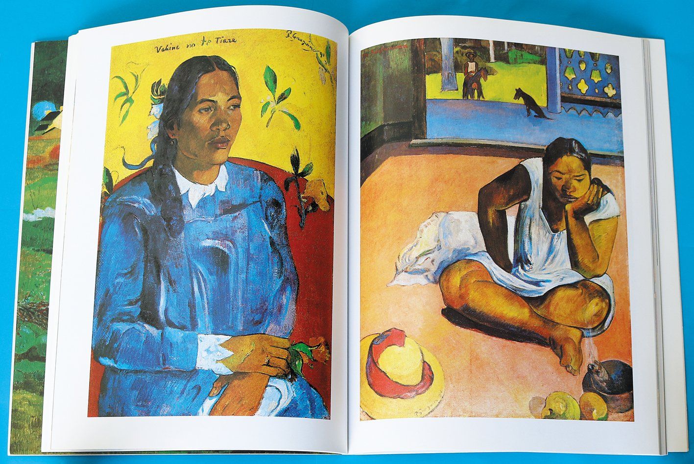 Libri: Gauguin – Usato da Bern venduto da imp_kln9 2