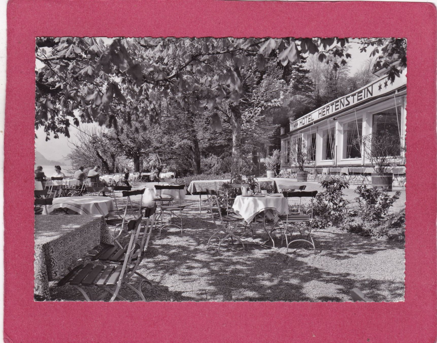 Cartoline postali: Hertenstein Hotel 1949 – Usato da Herisau venduto da Lisegrat2008