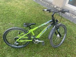 VTT Crusader vert/noir 24“