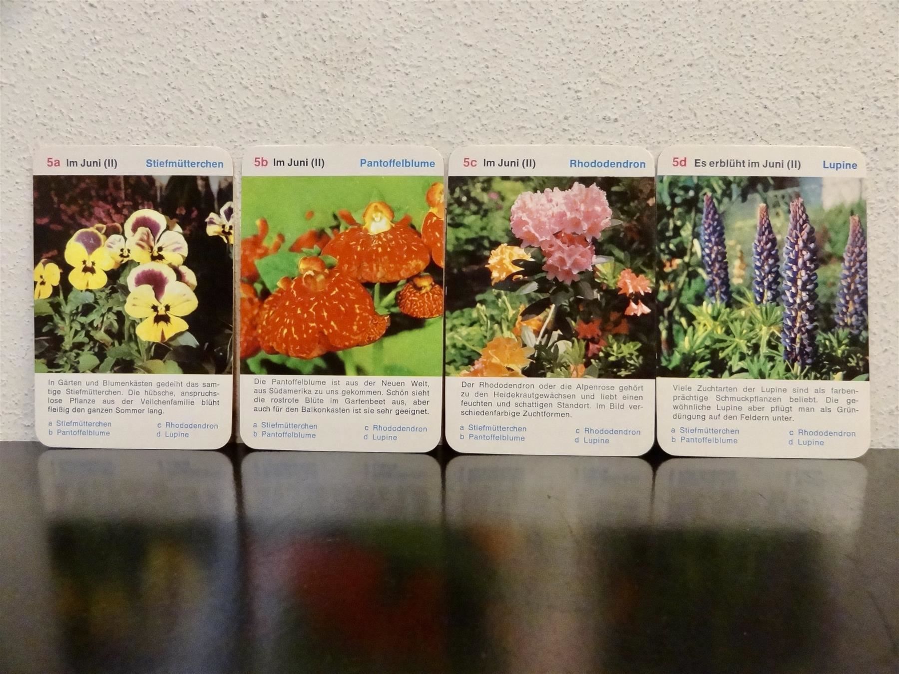 Giochi: altes Quartett BLUMEN-QUARTETT BLUMEN – Usato da Kerzers venduto da wisaundso 7