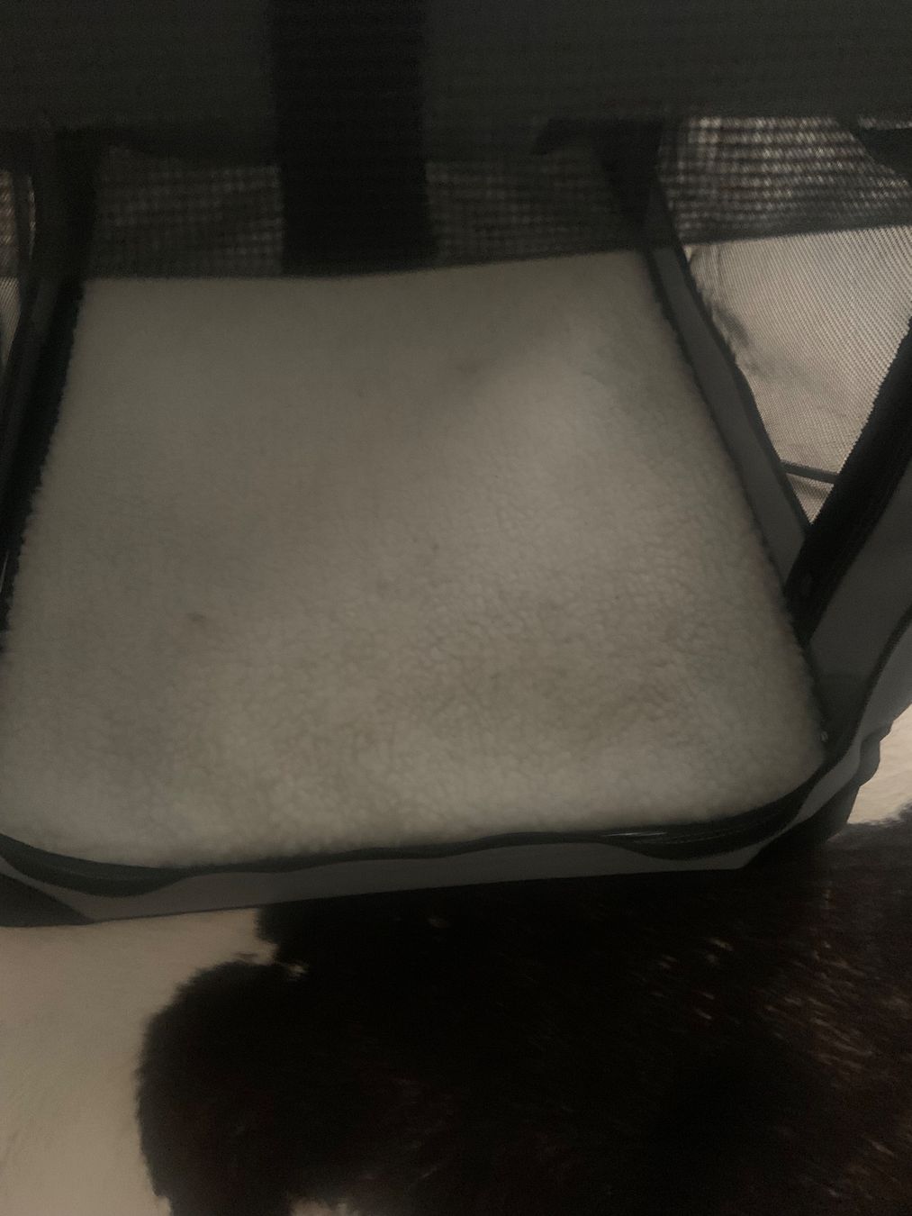 Gabbie, trasporto & Sicurezza: Hundebox / Faltbox Freezack – Nuovo e nell'imballaggio originale da Malters venduto da Hutsch05 4