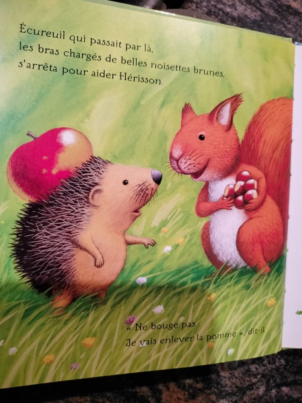 Bücher: La piquante aventure de hérisson – Gebraucht aus Cortaillod von rozinna 5
